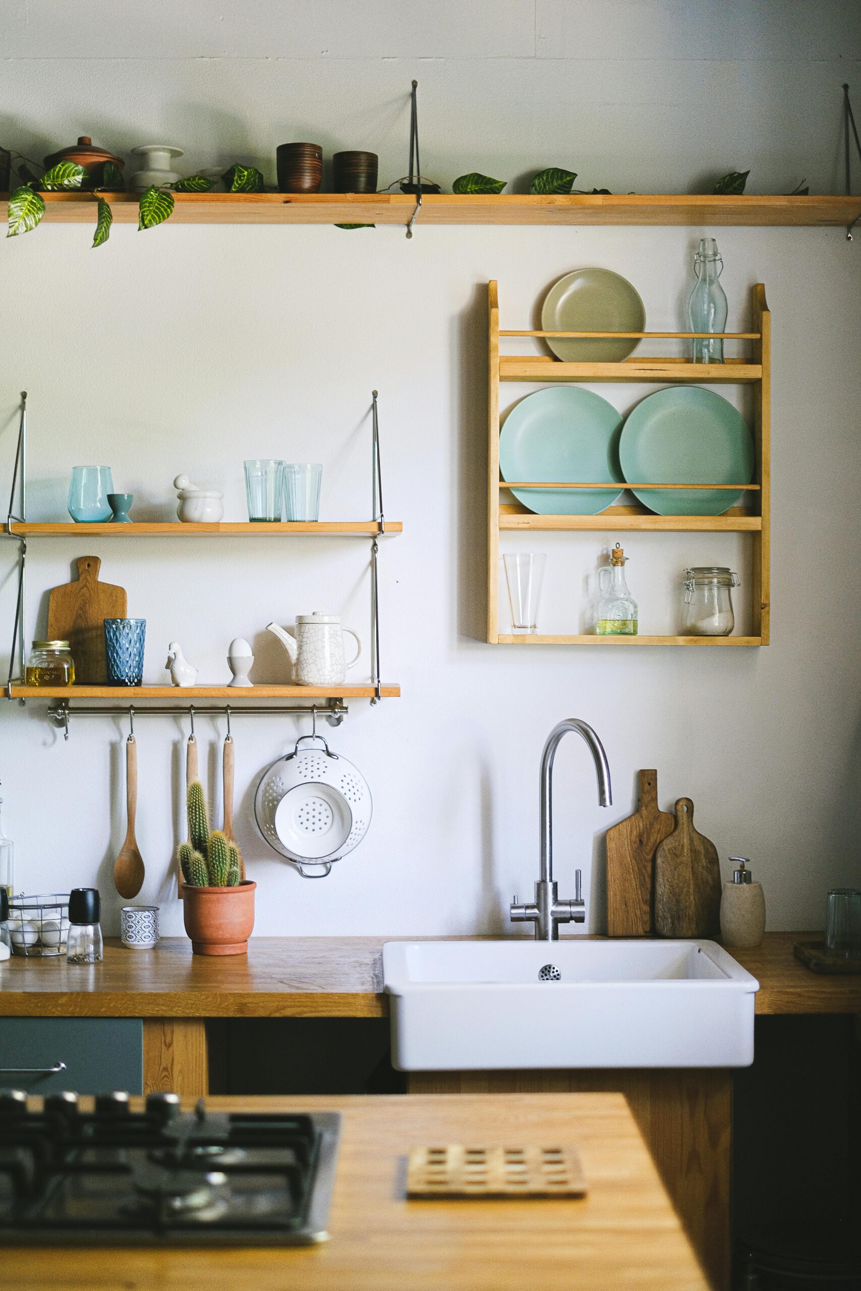 Cozy kitchen featuring rustic open shelving, green plants, and elegant dishware.